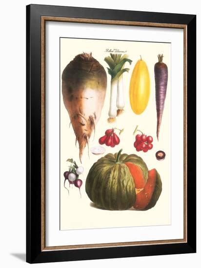 Vegetables: Melon, Purple Carrot, Cherry Tomatoes, Onions, Turnip, Leek-Philippe-Victoire Leveque de Vilmorin-Framed Art Print