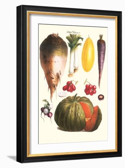 Vegetables: Melon, Purple Carrot, Cherry Tomatoes, Onions, Turnip, Leek-Philippe-Victoire Leveque de Vilmorin-Framed Art Print