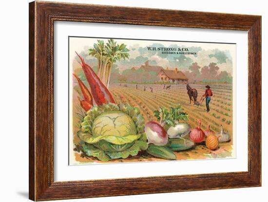 Vegetables, Old Fashioned Farm-null-Framed Art Print