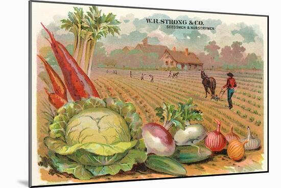 Vegetables, Old Fashioned Farm-null-Mounted Art Print