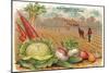 Vegetables, Old Fashioned Farm-null-Mounted Art Print