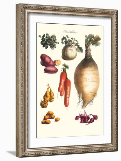 Vegetables; Onion, Potato, Carrot, Roots, Tubers-Philippe-Victoire Leveque de Vilmorin-Framed Art Print