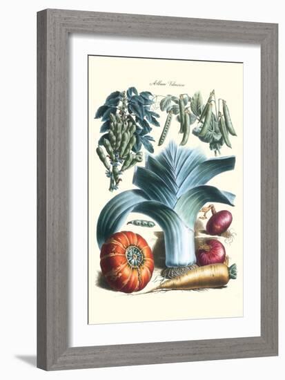 Vegetables; Peas, Pods, Onions, Leeks, and a Gourd-Philippe-Victoire Leveque de Vilmorin-Framed Art Print