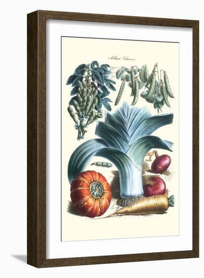 Vegetables; Peas, Pods, Onions, Leeks, and a Gourd-Philippe-Victoire Leveque de Vilmorin-Framed Art Print