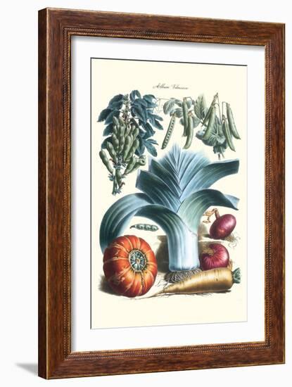 Vegetables; Peas, Pods, Onions, Leeks, and a Gourd-Philippe-Victoire Leveque de Vilmorin-Framed Art Print