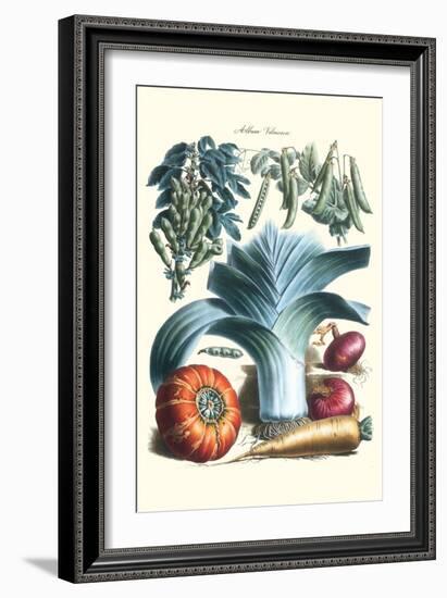 Vegetables; Peas, Pods, Onions, Leeks, and a Gourd-Philippe-Victoire Leveque de Vilmorin-Framed Art Print