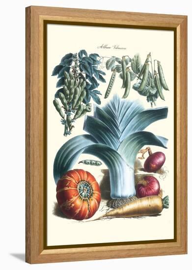 Vegetables; Peas, Pods, Onions, Leeks, and a Gourd-Philippe-Victoire Leveque de Vilmorin-Framed Stretched Canvas