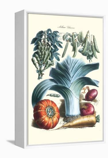 Vegetables; Peas, Pods, Onions, Leeks, and a Gourd-Philippe-Victoire Leveque de Vilmorin-Framed Stretched Canvas