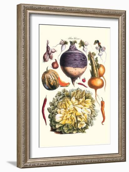 Vegetables; Peppers, Onion, Raddish, Tubers, Pumpkin, and Lettuce-Philippe-Victoire Leveque de Vilmorin-Framed Art Print