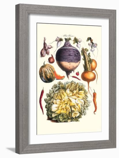 Vegetables; Peppers, Onion, Raddish, Tubers, Pumpkin, and Lettuce-Philippe-Victoire Leveque de Vilmorin-Framed Art Print