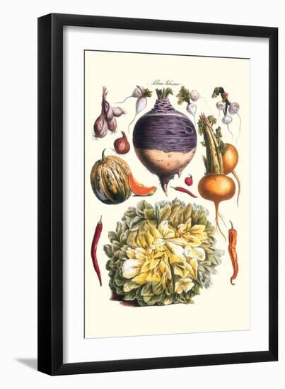 Vegetables; Peppers, Onion, Raddish, Tubers, Pumpkin, and Lettuce-Philippe-Victoire Leveque de Vilmorin-Framed Art Print