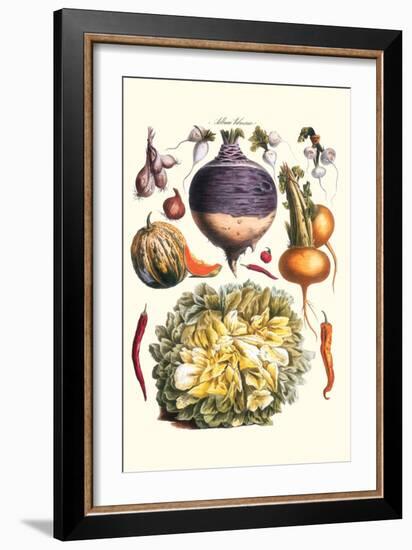 Vegetables; Peppers, Onion, Raddish, Tubers, Pumpkin, and Lettuce-Philippe-Victoire Leveque de Vilmorin-Framed Art Print