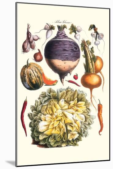 Vegetables; Peppers, Onion, Raddish, Tubers, Pumpkin, and Lettuce-Philippe-Victoire Leveque de Vilmorin-Mounted Art Print