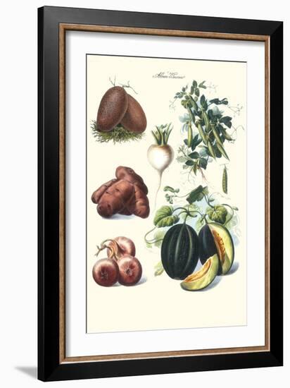 Vegetables; Potato, Melon, Raddish, Peas, Onions-Philippe-Victoire Leveque de Vilmorin-Framed Art Print