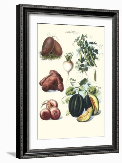 Vegetables; Potato, Melon, Raddish, Peas, Onions-Philippe-Victoire Leveque de Vilmorin-Framed Art Print