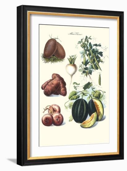 Vegetables; Potato, Melon, Raddish, Peas, Onions-Philippe-Victoire Leveque de Vilmorin-Framed Art Print