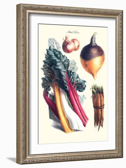 Vegetables; Rhubard, Carrot, Onion, Turnip-Philippe-Victoire Leveque de Vilmorin-Framed Art Print