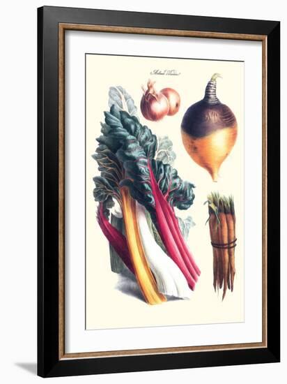 Vegetables; Rhubard, Carrot, Onion, Turnip-Philippe-Victoire Leveque de Vilmorin-Framed Art Print