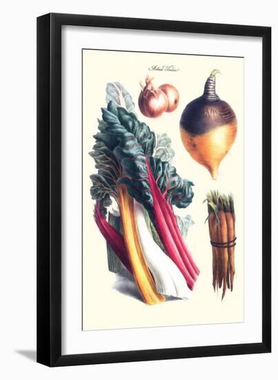 Vegetables; Rhubard, Carrot, Onion, Turnip-Philippe-Victoire Leveque de Vilmorin-Framed Art Print