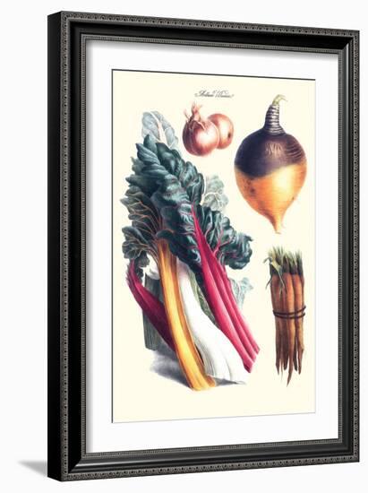 Vegetables; Rhubard, Carrot, Onion, Turnip-Philippe-Victoire Leveque de Vilmorin-Framed Art Print