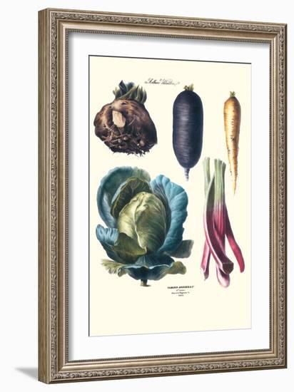 Vegetables; Rhubard, Tubers, and Cabbage-Philippe-Victoire Leveque de Vilmorin-Framed Art Print