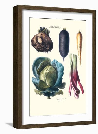 Vegetables; Rhubard, Tubers, and Cabbage-Philippe-Victoire Leveque de Vilmorin-Framed Art Print