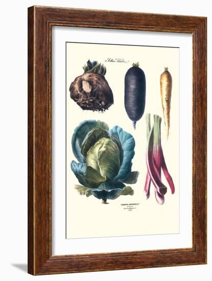 Vegetables; Rhubard, Tubers, and Cabbage-Philippe-Victoire Leveque de Vilmorin-Framed Art Print