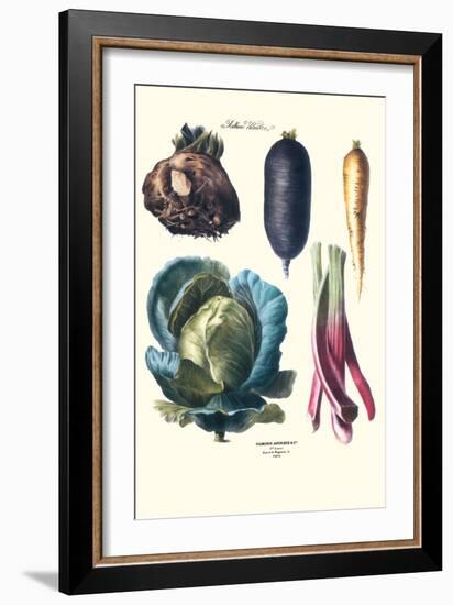 Vegetables; Rhubard, Tubers, and Cabbage-Philippe-Victoire Leveque de Vilmorin-Framed Art Print