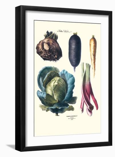 Vegetables; Rhubard, Tubers, and Cabbage-Philippe-Victoire Leveque de Vilmorin-Framed Art Print