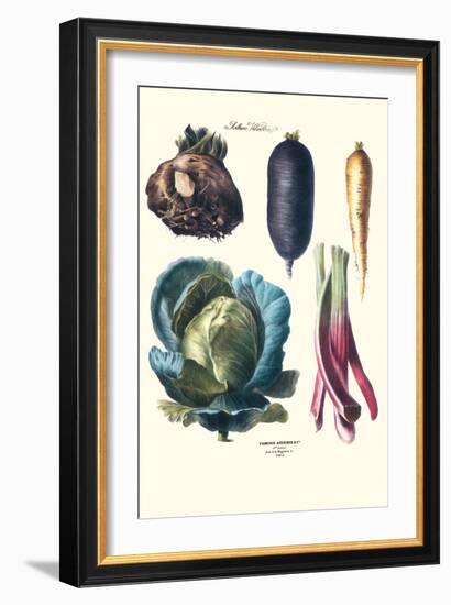 Vegetables; Rhubard, Tubers, and Cabbage-Philippe-Victoire Leveque de Vilmorin-Framed Art Print