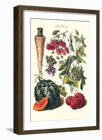 Vegetables; Strawberries, Beans, Tomato, Melon, and Raddish-Philippe-Victoire Leveque de Vilmorin-Framed Art Print