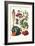 Vegetables; Strawberries, Beans, Tomato, Melon, and Raddish-Philippe-Victoire Leveque de Vilmorin-Framed Art Print