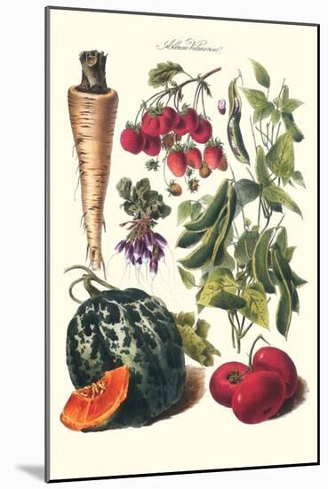 Vegetables; Strawberries, Beans, Tomato, Melon, and Raddish-Philippe-Victoire Leveque de Vilmorin-Mounted Art Print