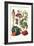 Vegetables; Strawberries, Beans, Tomato, Melon, and Raddish-Philippe-Victoire Leveque de Vilmorin-Framed Art Print