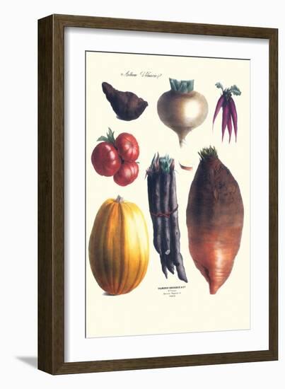 Vegetables; Tomato, Raddish, Sweet, Pumpkin, Carrots, Yam-Philippe-Victoire Leveque de Vilmorin-Framed Art Print