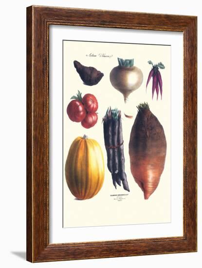 Vegetables; Tomato, Raddish, Sweet, Pumpkin, Carrots, Yam-Philippe-Victoire Leveque de Vilmorin-Framed Art Print