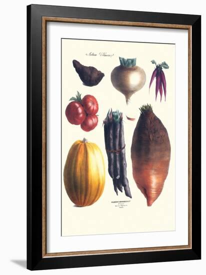 Vegetables; Tomato, Raddish, Sweet, Pumpkin, Carrots, Yam-Philippe-Victoire Leveque de Vilmorin-Framed Art Print