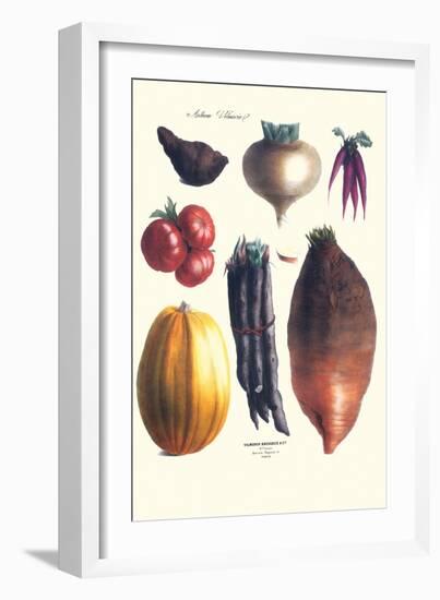 Vegetables; Tomato, Raddish, Sweet, Pumpkin, Carrots, Yam-Philippe-Victoire Leveque de Vilmorin-Framed Art Print