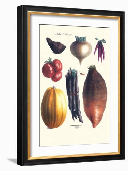 Vegetables; Tomato, Raddish, Sweet, Pumpkin, Carrots, Yam-Philippe-Victoire Leveque de Vilmorin-Framed Art Print