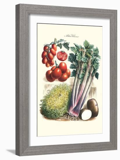 Vegetables; Tomato Varieties, Celery, and Potato-Philippe-Victoire Leveque de Vilmorin-Framed Art Print