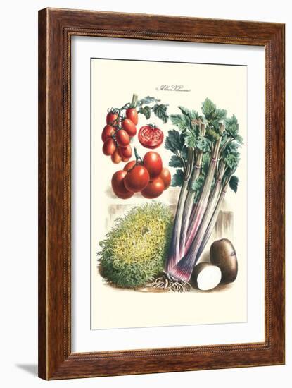 Vegetables; Tomato Varieties, Celery, and Potato-Philippe-Victoire Leveque de Vilmorin-Framed Art Print