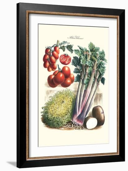 Vegetables; Tomato Varieties, Celery, and Potato-Philippe-Victoire Leveque de Vilmorin-Framed Art Print