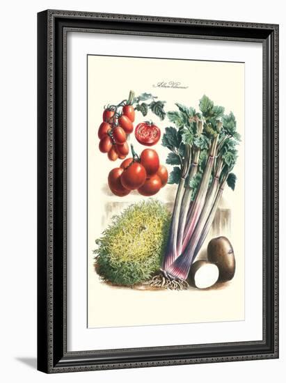 Vegetables; Tomato Varieties, Celery, and Potato-Philippe-Victoire Leveque de Vilmorin-Framed Art Print