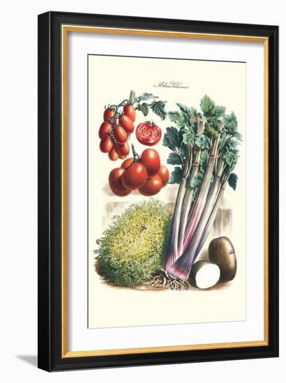 Vegetables; Tomato Varieties, Celery, and Potato-Philippe-Victoire Leveque de Vilmorin-Framed Art Print