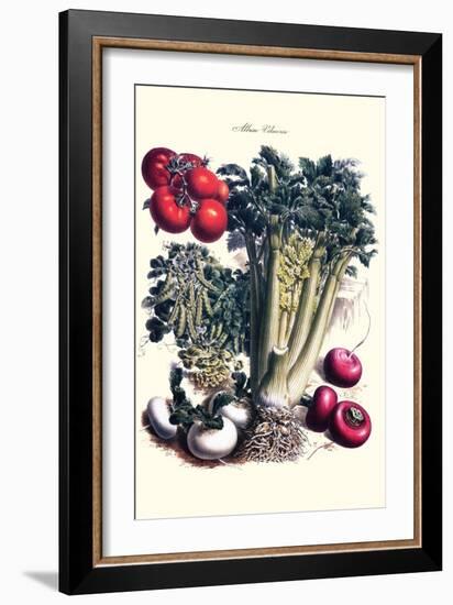 Vegetables; Turnip, Raddish, Tomato, Celery, and Peas-Philippe-Victoire Leveque de Vilmorin-Framed Art Print