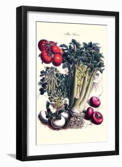 Vegetables; Turnip, Raddish, Tomato, Celery, and Peas-Philippe-Victoire Leveque de Vilmorin-Framed Art Print