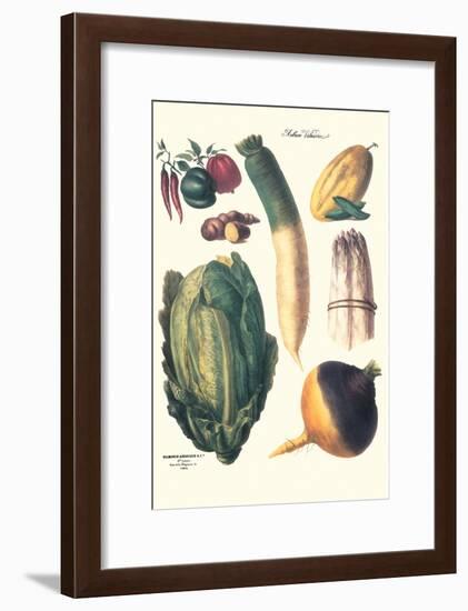 Vegetables; White Asparagus, Spago, Peppers, Cabbage, Turnip-Philippe-Victoire Leveque de Vilmorin-Framed Art Print