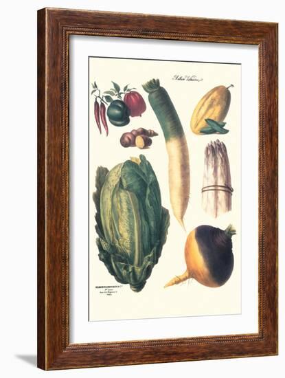 Vegetables; White Asparagus, Spago, Peppers, Cabbage, Turnip-Philippe-Victoire Leveque de Vilmorin-Framed Art Print