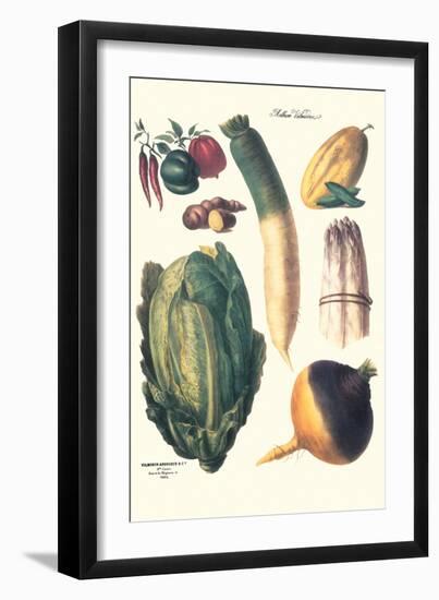 Vegetables; White Asparagus, Spago, Peppers, Cabbage, Turnip-Philippe-Victoire Leveque de Vilmorin-Framed Art Print
