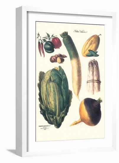 Vegetables; White Asparagus, Spago, Peppers, Cabbage, Turnip-Philippe-Victoire Leveque de Vilmorin-Framed Art Print